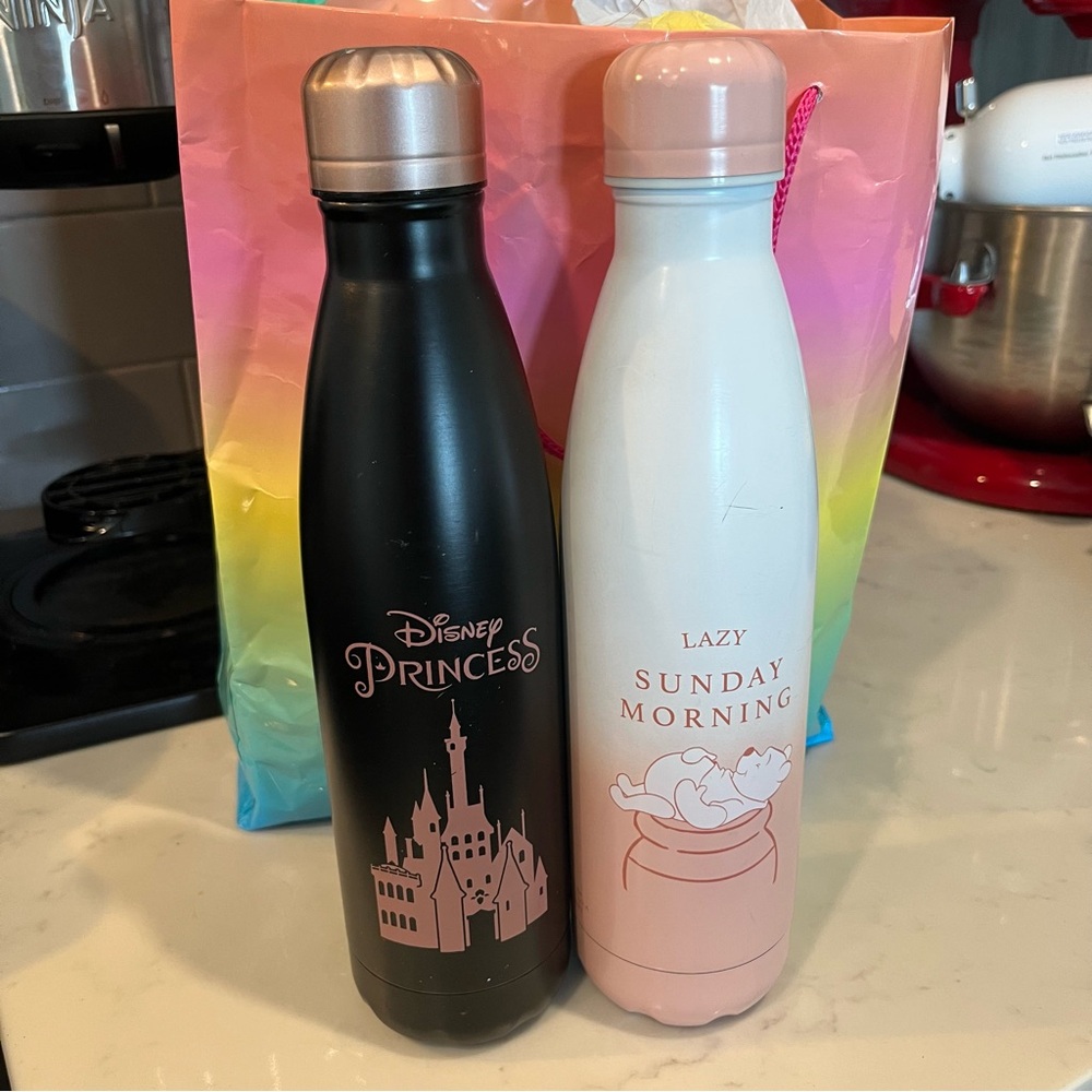 Disney Princess and Winnie the Pooh Water Bottles